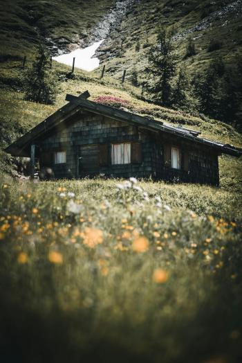 Fondo de pantalla de Fondo de Pantalla de pexels_1809647.jpg