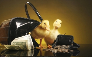 Fondo de pantalla patitos con dinero