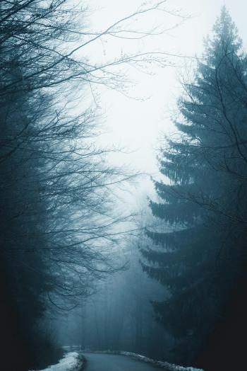 Fondo de pantalla de Fondo de Pantalla de pexels_10715368.jpg
