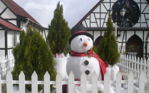 Fondos hd muÃ±eco de nieve junto a pinos