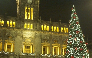 Fondos de pantalla hd arbolito frente a iglesia