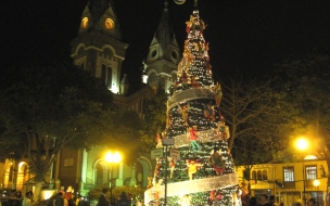 Fondo de pantalla arbol en medio de una iglesia