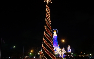 Fondo de pantalla arbol de Navidad largo