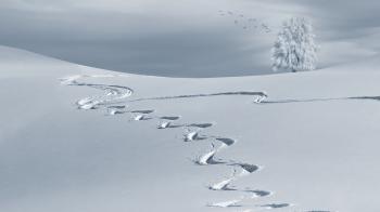 Fondo de pantalla de Fondo de Pantalla de pixabay_2068298.jpg