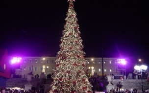 Fondo de pantalla arbol gigante en la ciudad