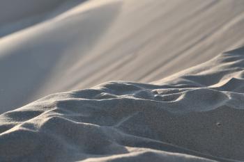 Fondo de pantalla de Fondo de Pantalla de pixabay_5100914.jpg