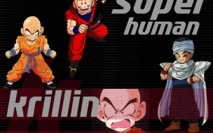 Krillin Super Human