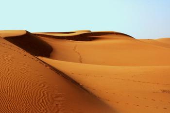 Fondo de pantalla de Fondo de Pantalla de pixabay_1007157.jpg