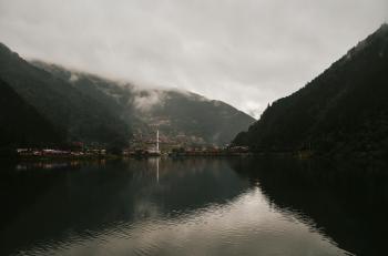 Fondo de pantalla de Fondo de Pantalla de pexels_30382814.jpg