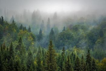 Fondo de pantalla de Fondo de Pantalla de pixabay_975091.jpg