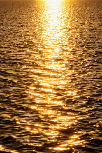 Fondo de pantalla de Fondo de Pantalla de pixabay_8424565.jpg