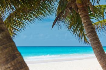 Fondo de pantalla de Fondo de Pantalla de pixabay_84564.jpg