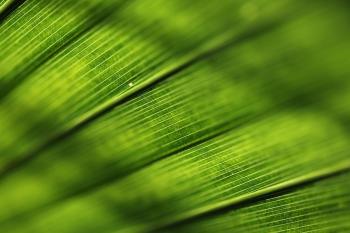 Fondo de pantalla de Fondo de Pantalla de pixabay_8323899.jpg
