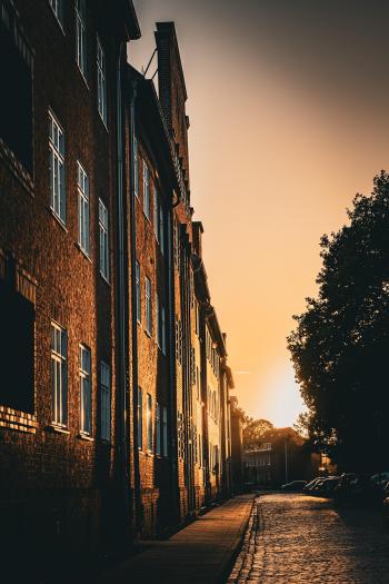 Fondo de pantalla de Fondo de Pantalla de pixabay_8316703.jpg