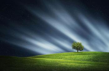 Fondo de pantalla de Fondo de Pantalla de pixabay_832028.jpg