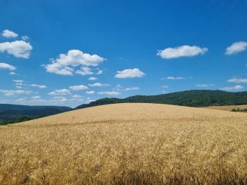 Fondo de pantalla de Fondo de Pantalla de pixabay_8172323.jpg
