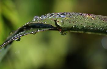 Fondo de pantalla de Fondo de Pantalla de pixabay_8015829.jpg