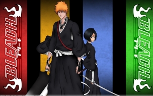 Bleach