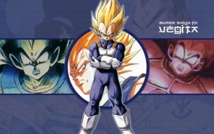 Vegeta Champion of the Sayans