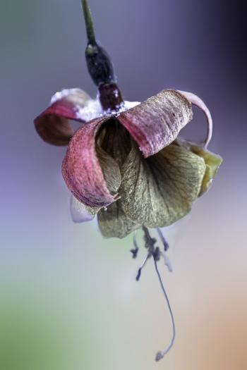 Fondo de pantalla de Fondo de Pantalla de pixabay_7659988.jpg