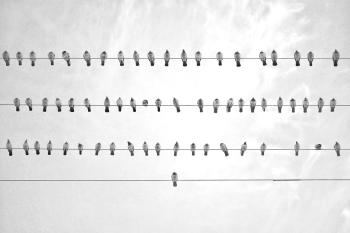 Fondo de pantalla de Fondo de Pantalla de pixabay_7504597.jpg