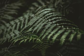 Fondo de pantalla de Fondo de Pantalla de pixabay_7391561.jpg