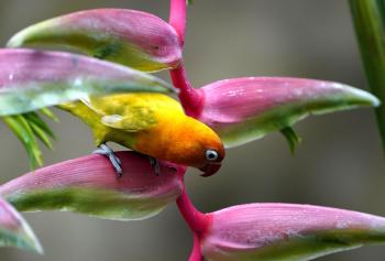 Fondo de pantalla de Fondo de Pantalla de pixabay_7367776.jpg