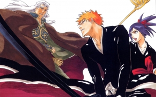 Bleach 4