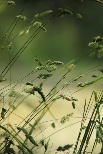 Fondo de pantalla de Fondo de Pantalla de pixabay_7304572.jpg