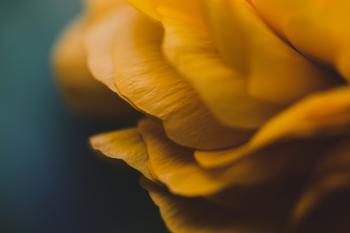 Fondo de pantalla de Fondo de Pantalla de pixabay_7193390.jpg