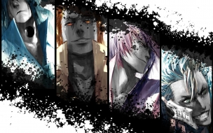 Bleach members