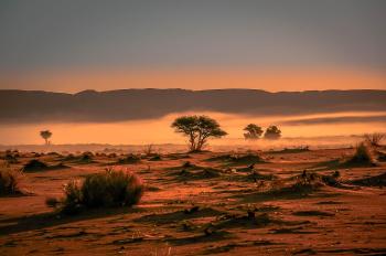Fondo de pantalla de Fondo de Pantalla de pixabay_7083257.jpg