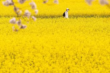 Fondo de pantalla de Fondo de Pantalla de pixabay_7107951.jpg