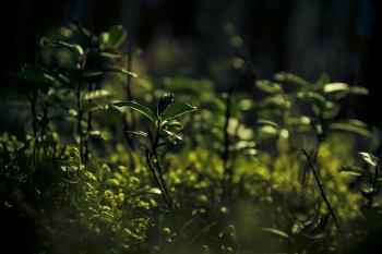 Fondo de pantalla de Fondo de Pantalla de pixabay_6917093.jpg