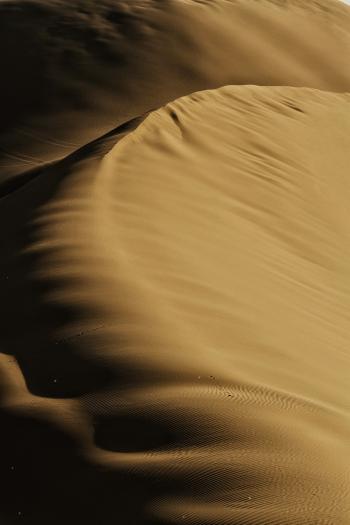 Fondo de pantalla de Fondo de Pantalla de pixabay_6885229.jpg