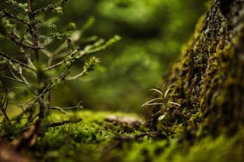Fondo de pantalla de Fondo de Pantalla de pixabay_6649862.jpg