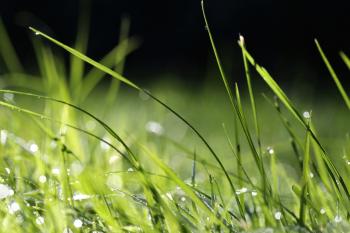 Fondo de pantalla de Fondo de Pantalla de pixabay_6597188.jpg
