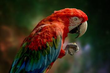 Fondo de pantalla de Fondo de Pantalla de pixabay_6342271.jpg