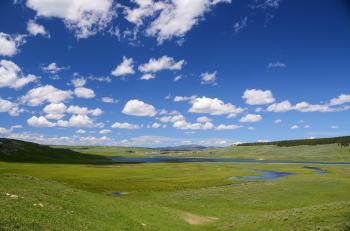 Fondo de pantalla de Fondo de Pantalla de pixabay_63564.jpg
