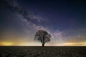 Fondo de pantalla de Fondo de Pantalla de pixabay_6245049.jpg