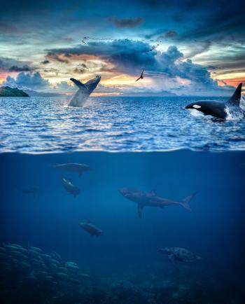 Fondo de pantalla de Fondo de Pantalla de pixabay_6075106.jpg