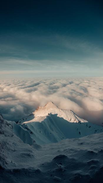 Fondo de pantalla de Fondo de Pantalla de pixabay_5645295.jpg