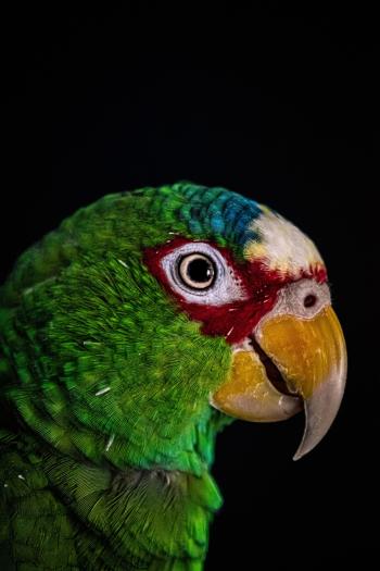 Fondo de pantalla de Fondo de Pantalla de pixabay_5653140.jpg