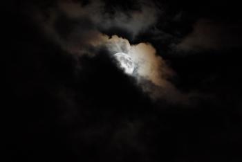 Fondo de pantalla de Fondo de Pantalla de pixabay_5318654.jpg