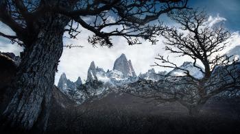 Fondo de pantalla de Fondo de Pantalla de pixabay_5173727.jpg