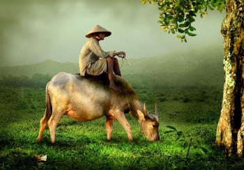 Fondo de pantalla de Fondo de Pantalla de pixabay_519246.jpg