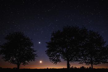 Fondo de pantalla de Fondo de Pantalla de pixabay_5114498.jpg