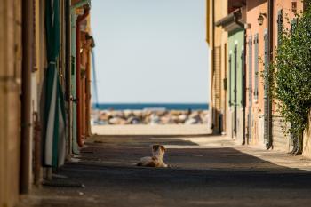 Fondo de pantalla de Fondo de Pantalla de pixabay_5085971.jpg