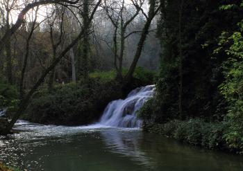 Fondo de pantalla de Fondo de Pantalla de pixabay_5094119.jpg