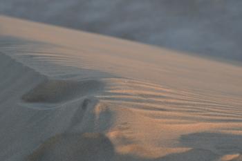 Fondo de pantalla de Fondo de Pantalla de pixabay_5100918.jpg